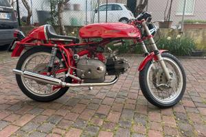 Aermacchi ala verde