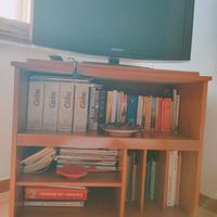 MOBILE TV