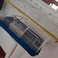 Gabbia uccelli / pappagalli