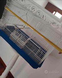 Gabbia uccelli / pappagalli