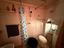 Immagine 14