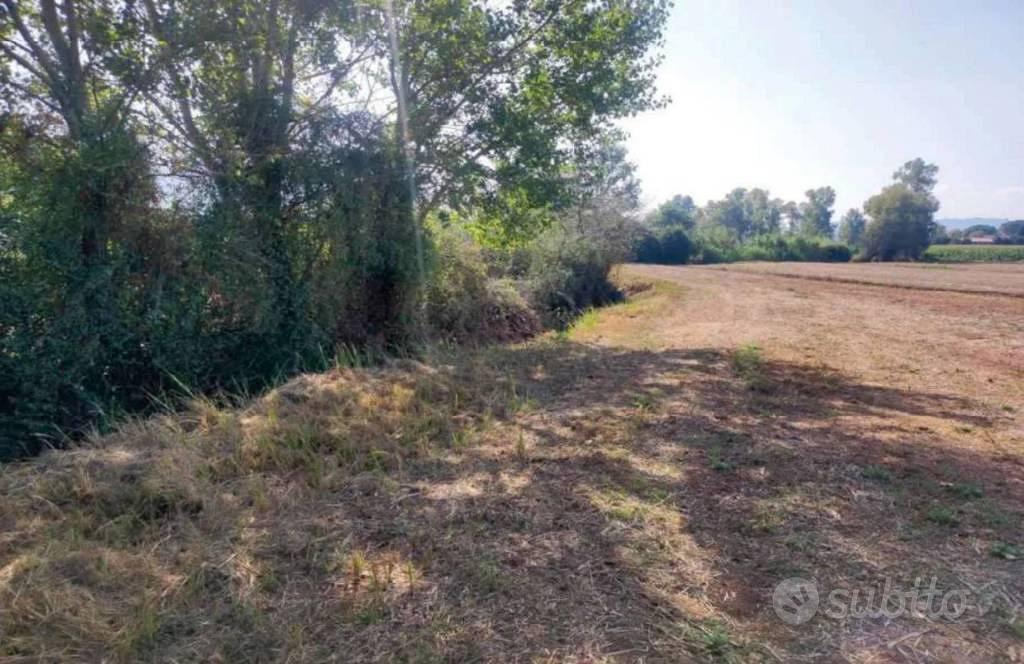 Immobile in asta di 7000 m² a Maenza - Vista 3