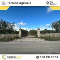 terreno-agricolo-altamura-via-corato