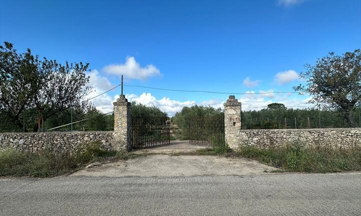 terreno-agricolo-altamura-via-corato