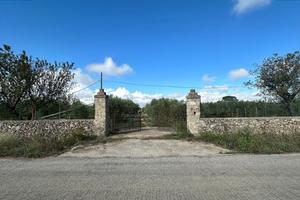 terreno-agricolo-altamura-via-corato