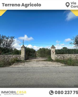 terreno-agricolo-altamura-via-corato