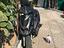 Immagine 1