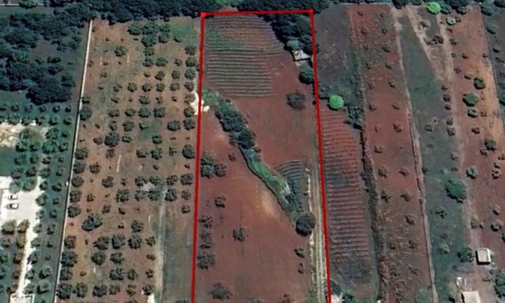 Terreno agricolo a Alberobello