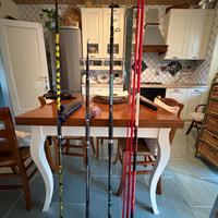 Canne Surfcasting Perfette