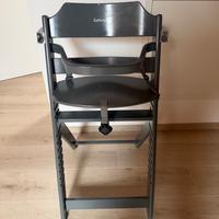 SEGGIOLONE EVOLUTIVO