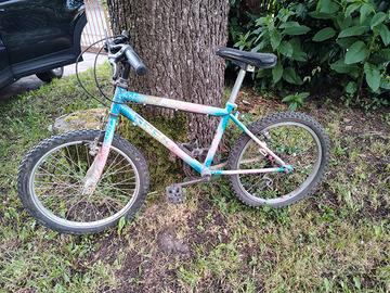bicicletta bambino raggio 20