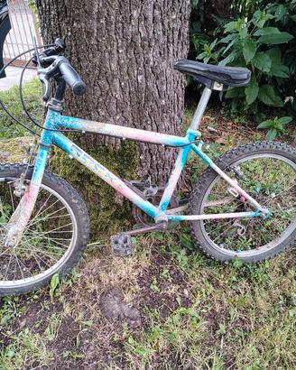 bicicletta bambino raggio 20