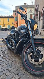 harley davidson v road night special road