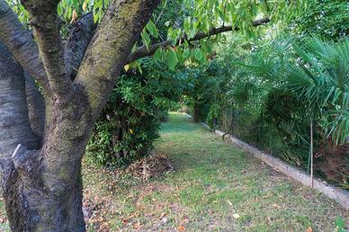 Rif.9320RV68478| villa castelfranco veneto