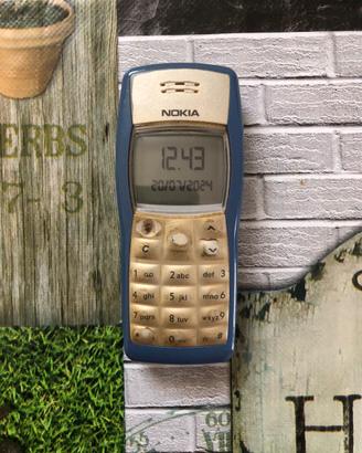 CELLULARE NOKIA 1100