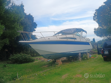 Cruiser americano Thompson Santa Cruz 31