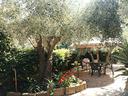 attico-con-balconata-vista-mare-frontale-giardino