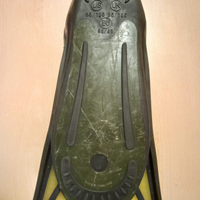 PINNE SUB MARES Challenge