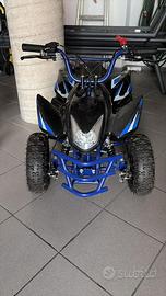 Mini Quad benzina