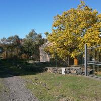 Baita/Chalet/Trullo - Maletto