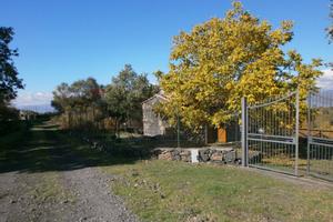 Baita/Chalet/Trullo - Maletto