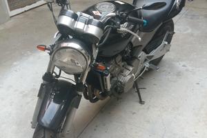 Honda Hornet 