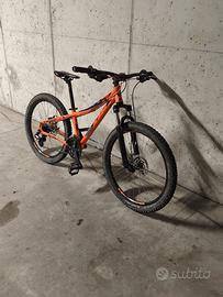 bici mountain bike KTM wild speed disc 24 pollici