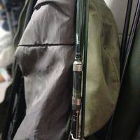 Carpfishing canne