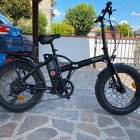 bicicletta elettrica