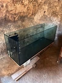 Acquario Marino