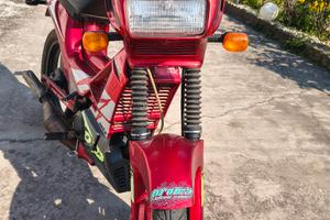 Fifty top colors 1994