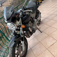 Honda hornet