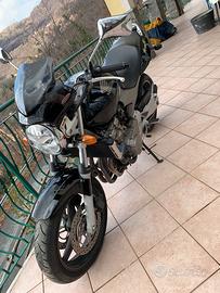Honda hornet