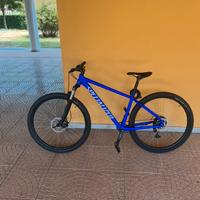 Bici specialized  29