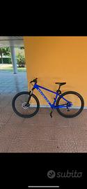 Bici specialized  29