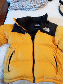 Giubbotto the north face