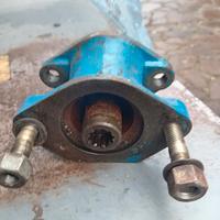 Adattatore /prolunga bcs