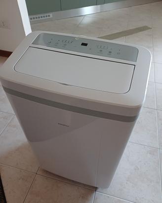 Climatizzatore tipo pinguino con GARANZIA