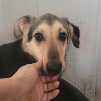 Kira e la sua timidezza