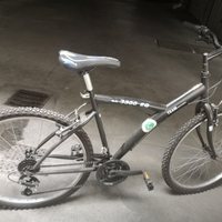 Bici 60