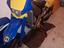 Immagine 1
