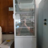 vetrina refrigerante 