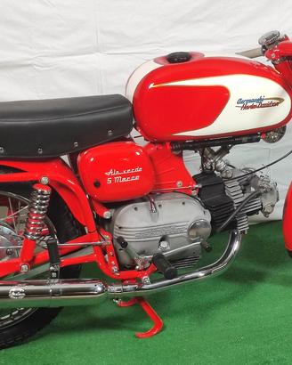 Aermacchi Ala Verde