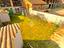 Immagine 22