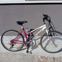 bici Mountain bike Montana 