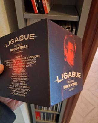 Cofanetto box Ligabue e altri cd totale 13 cd