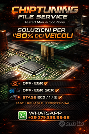 file service centralina fap dpf egr adblue