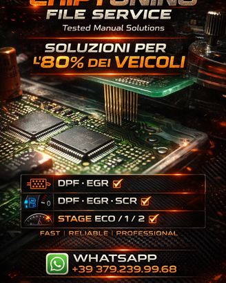 file service centralina fap dpf egr adblue