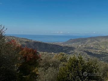 Perdifumo- fraz. di Vatolla, terreno con 2 ruderi