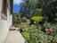 Immagine 12